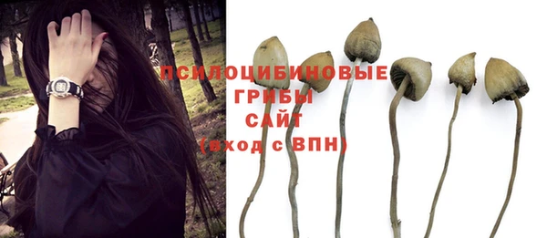 MESCALINE Зеленодольск