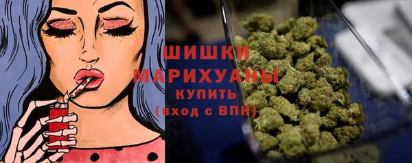 СК Ветлуга