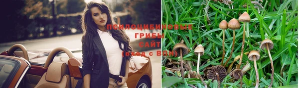 кристаллы Инта