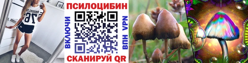 Галлюциногенные грибы GOLDEN TEACHER  закладка  Ишимбай 