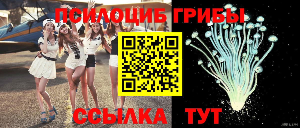 Псилоцибиновые грибы прущие грибы Ишимбай