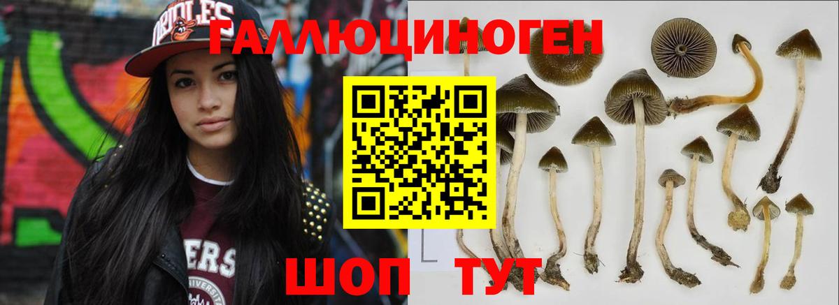 Псилоцибиновые грибы Cubensis  Вход с VPN  Ишимбай 