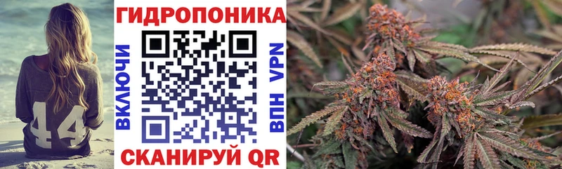 Шишки марихуана MAZAR  Ишимбай 